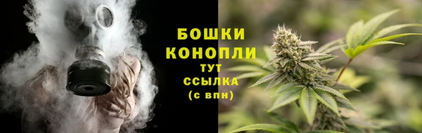 сатива Няндома
